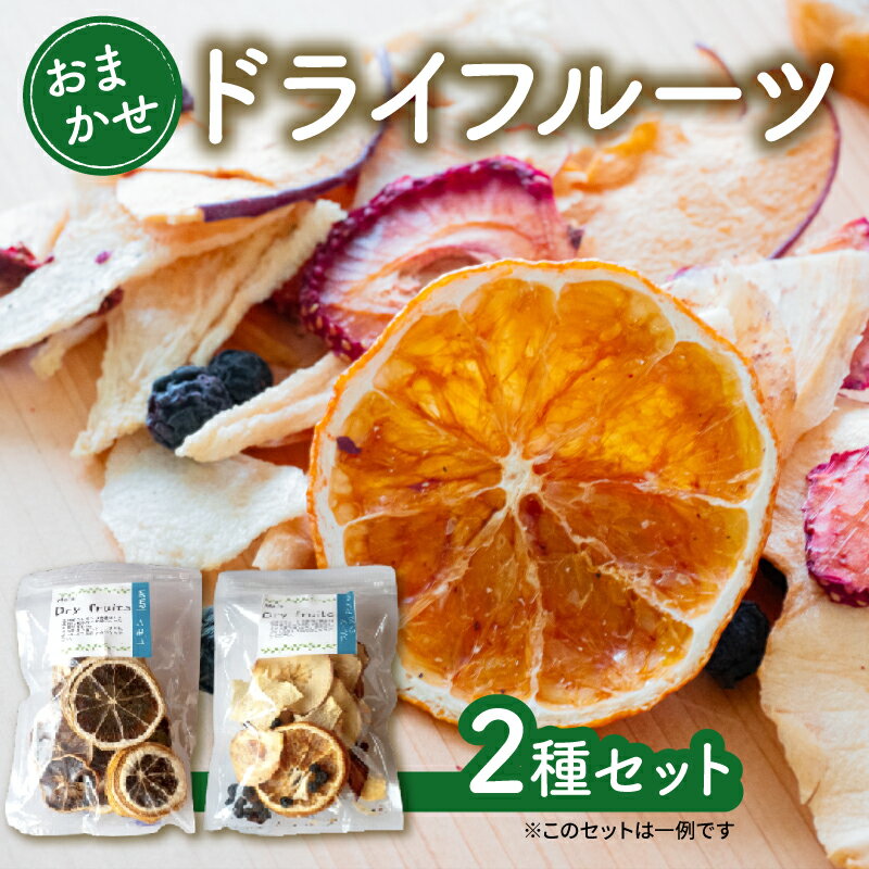 【ふるさと納税】 ドライフルーツ おまかせ 2種 セット 手作り 無添加 旬 フルーツ 果物 次郎柿 柿 ブラッドオレンジ みかん レモン いちご ブルーベリー 新高梨 梨 なし りんご くだもの 秋 旬 お試し ふるさと納税ドライフルーツ 人気 ふるさと納税 TJ0081