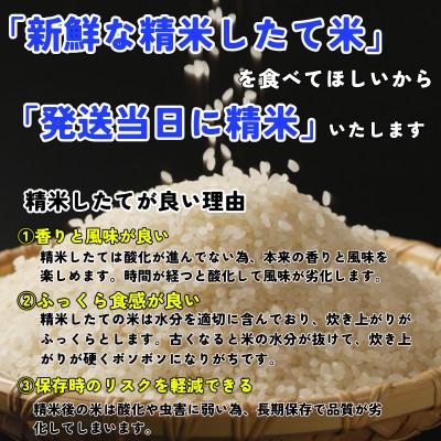 ふるさと納税 盛岡市 ★発送当日精米★盛岡市産銀河のしずく 無洗米 ビタミン強化米入り 5kg 令和7年産 |  | 03