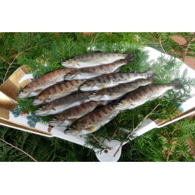 ふるさと納税 宍粟市 宍粟サーモンとあまごの詰め合わせセット AU3 |  | 01