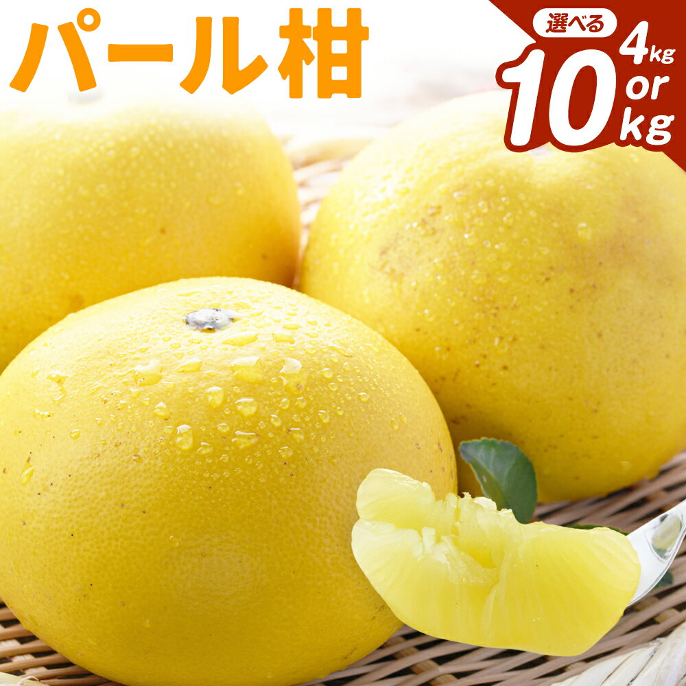 【ふるさと納税】先行予約 パール柑 選べる 約4kg 約10kg 都呂々みかん生産者グループ《2026年3月上旬-4月中旬頃出荷予定》熊本県 苓北町 みかん 果物 フルーツ