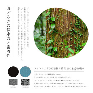 boe Air freshener for your skin care time 20ml（アロマミスト） | アロマ