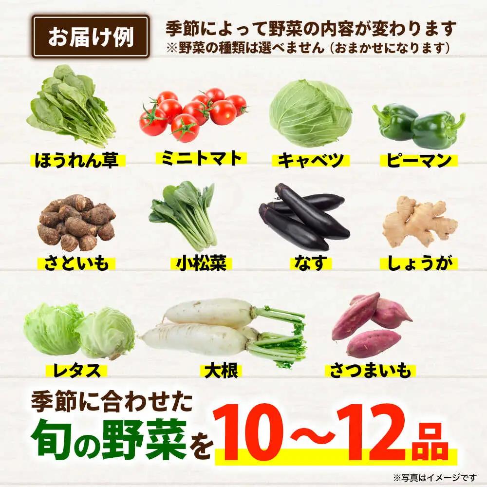 【年5回コース定期便】合志の旬のお野菜10品から12品目  野菜[AYAB020]