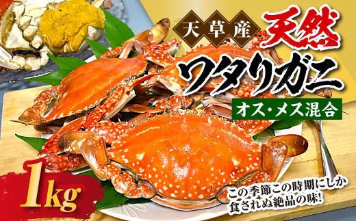 天草産 天然ワタリガニ  オス・メス混合 1kg 3～6杯 ワタリガニ 渡り蟹 蟹 かに カニ 冷凍 熊本県 上天草市