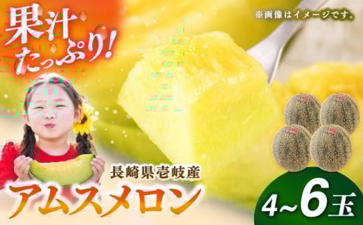 【2025年6月中旬以降順次発送】【数量限定】 壱岐産 アムスメロン 4～6玉 《壱岐市》【壱岐市農業協同組合】[JBO017] メロン 青肉 フルーツ 果物 先行予約 季節限定 20000 20000円[JBO017]