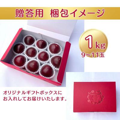 ふるさと納税 糸満市 【2026年発送・贈答用1kg(9玉〜11玉)】栽培期間中農薬不使用のパッションフルーツ |  | 01