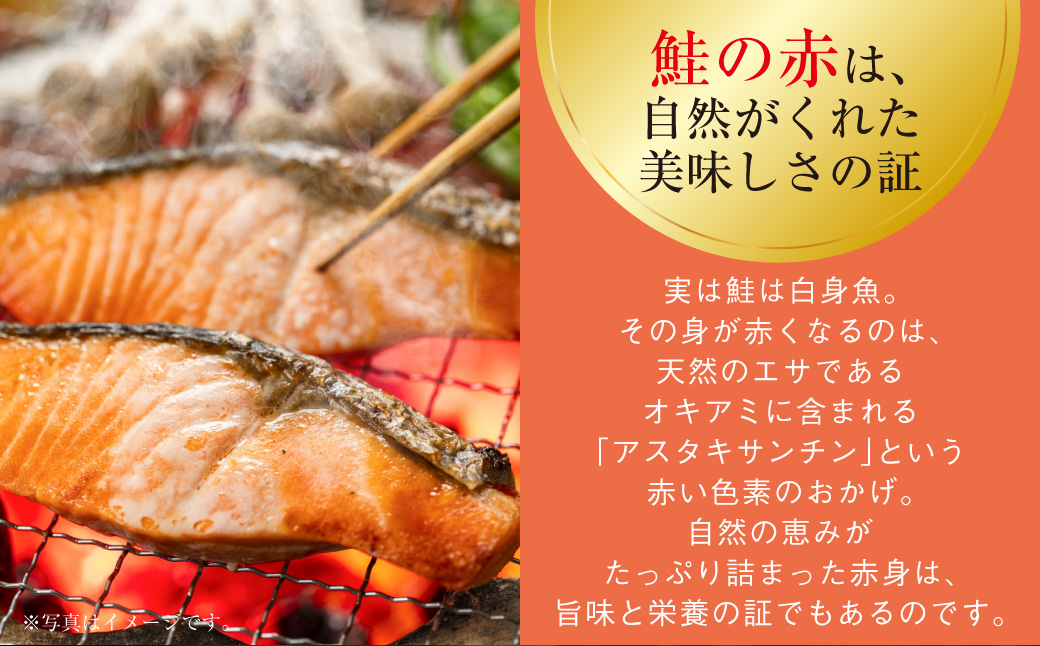 訳あり 紅鮭 約1.3kg 鮭 打ち身 わけあり しゃけ サーモン 切り身 サケ さけ わけあり 規格外 不揃い 切り落とし 釧路市 北海道 F4F-8286