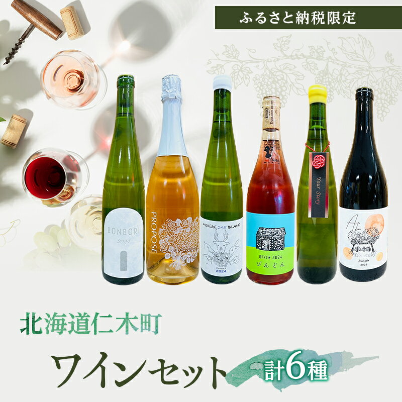 【ふるさと納税】【北海道仁木町 ふるさと納税限定ワインセット】ワイン 6本 セット [ 飲み比べ お酒 酒 果実酒 晩酌 葡萄 ぶどう ブドウ 料理 食事 お祝い 北海道 仁木町 ]