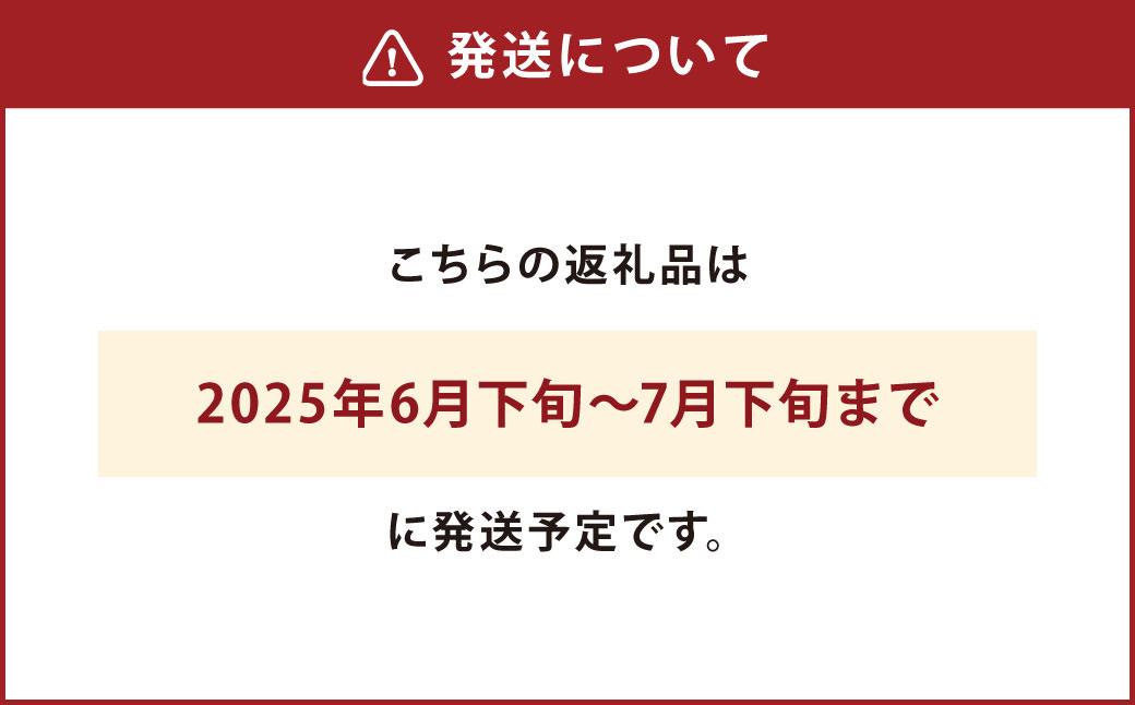 004-1058x1 【先行予約】 平均糖度20度以上 スイートコーン 約4.5kg前後 10本〜11本 とうもろこし 【2025年6月下旬〜7月下旬発送予定】