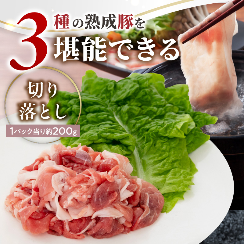 宮崎県産熟成豚 よくばり3種セットB-2（ステーキ2種 各2個/切り落とし2個）N0105-YA6608 ステーキ2種 各2個/切り落とし2個