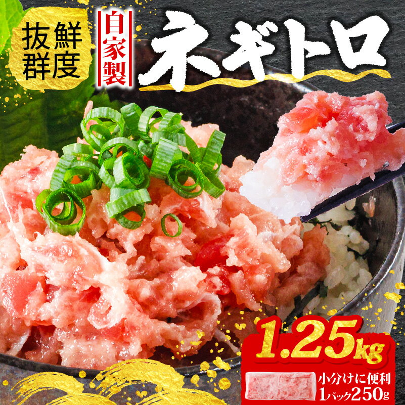【ふるさと納税】 ネギトロ 計 1.25kg 250g × 5パック まぐろ 鮪 まぐろたたき キハダマグロ バチマグロ 小分け 個包装 魚 さかな 魚介 海鮮 新鮮 手巻き 寿司 すし 丼 ご飯 ごはん 冷凍 お取り寄せ グルメ 人気 おすすめ 愛媛県 松山市