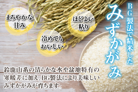【令和6年産】【定期便】【10ヶ月連続お届け】 BG無洗米 みずかがみ 計100kg（10kg × 10回）