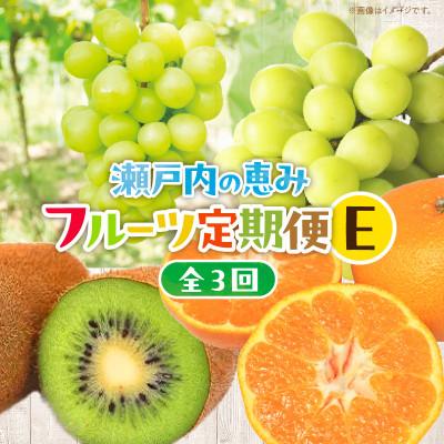 ふるさと納税 高松市 【発送月固定定期便】高松市自慢のフルーツ【E】全3回