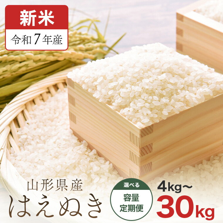 【ふるさと納税】【令和7年産新米】山形県産「はえぬき」4kg～30kg 選べる内容量 定期便 精米 玄米_A184(R7)