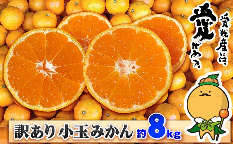 
                  小玉みかん 訳あり 小玉 みかん 8kg 中井屋 わけあり 訳アリ 訳あり品 先行予約 温州みかん 温州蜜柑 愛媛みかん 愛媛ミカン 愛媛蜜柑 mikan 小粒 小粒みかん 小みかん 果物 くだもの フルーツ 柑橘 蜜柑 温州 早生 南柑 産地直送 数量限定 国産 愛媛 宇和島 B010-173002
                