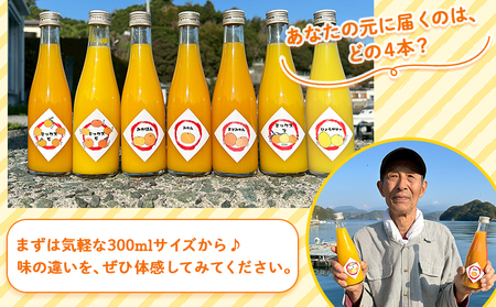 ＜一歩会 ジュエリーボックス ジュース飲み比べセット ミニ 300ml×4本入り＞ 愛媛 果汁 100% ジュース ストレートジュース みかんジュース セット 柑橘 飲料 オレンジ 特産品 渡江から一