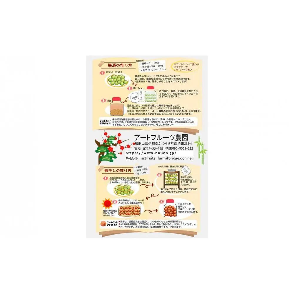 ［梅干・梅酒用］大玉4Lサイズ約10kg熟南高 生梅 ＜2027年6月上旬～7月中旬発送予定＞［ART22］