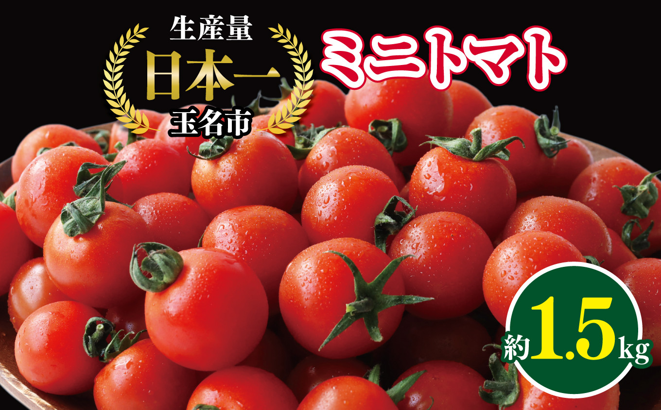 
ミニトマト 生産量 日本一 玉名市 !！ ミニトマト 約 1.5kg ｜ ミニトマト 野菜 トマト プチトマト 熊本県 玉名市 くまもと たまな
