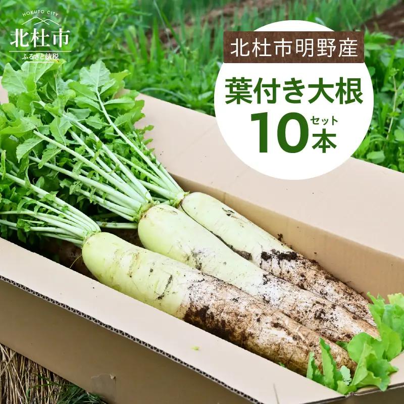 【先行予約】北杜市明野産 「葉付き大根」10本セット（10kg程度）