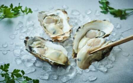 先行予約 【殻付き生牡蠣】大サイズ12個 冷蔵 生食 牡蠣