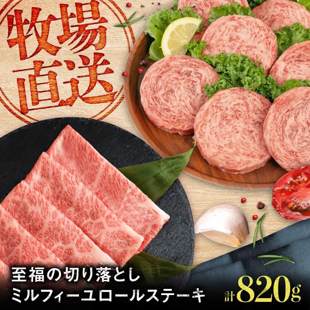 ミルフィーユロールステーキ4個と至福の切り落し500g  / 佐賀牛 [41ASAA104]