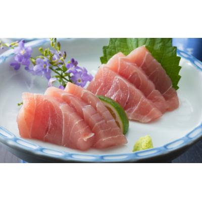 ふるさと納税 室戸市 【3回定期便】お刺身セット　2〜3種盛り合わせお楽しみ(2〜3人前)　魚介類 さしみ 刺し身