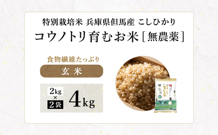 令和7年産 無農薬 玄米 4kg コウノトリ育むお米 但馬産 こしひかり 兵庫県産 (2kg×2袋) 無農薬 お米 4キロ 玄米 コウノトリ米 コシヒカリ 農薬不使用 特別栽培米 予約 コメ こめ ご