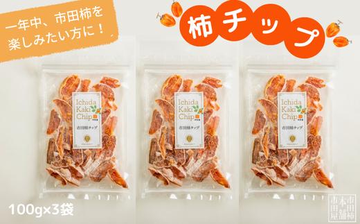 
                  TS06　市田柿 柿チップ（約100g×3袋）// 長野県 南信州 干し柿 市田柿  ドライフルーツ 健康 ひとくちサイズ チップ
                