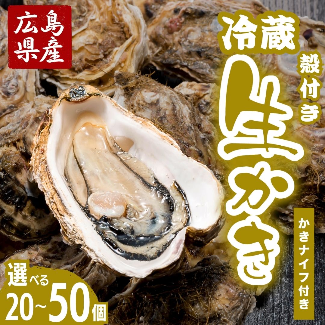 【ふるさと納税】熱を入れても縮みにくい！広島県産 生牡蠣 殻付き 500g〜2kg ハマミツ海産 選べる配送 ｜ 選べる内容量 冷蔵配送 牡蠣 生牡蠣 かき カキ オイスター 海産物 魚貝 からつき ※2026年1月中旬から順次発送 ※北海道・沖縄・離島への配送不可