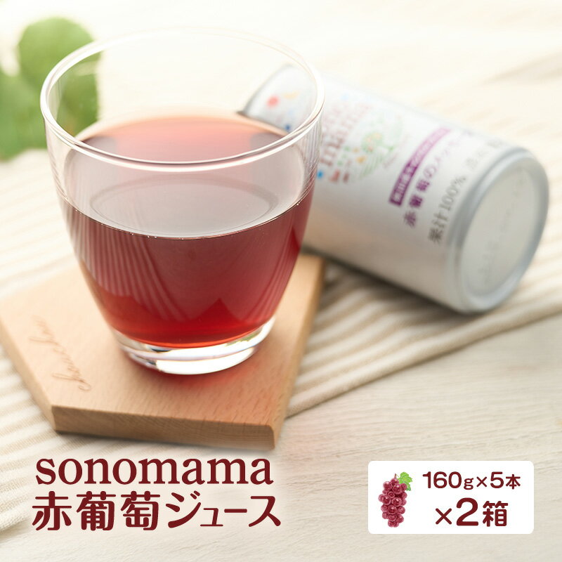 【ふるさと納税】赤葡萄ジュース「sonomama」（160g×5本）×2箱 ぶどう ブドウ ジュース ぶどうジュース 飲料