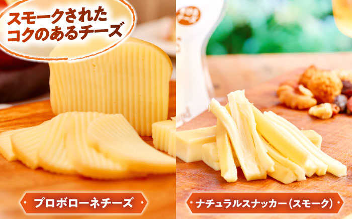 大満足の美味しさ！乳製品セットDX（プリン・ヨーグルト・4種のチーズ）島根県雲南市/木次乳業有限会社 [AIBH012]