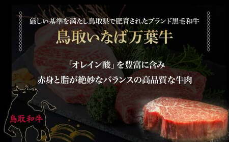 【定期便3回】 鳥取いなば万葉牛 ヒレステーキ 400g × 3回 定期便 国産 牛肉 ヒレ ヒレステーキ 和牛 黒毛和牛 希少 鳥取和牛 鳥取県 倉吉市