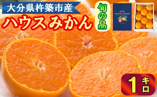 
                  ハウスみかん約1kg（化粧箱入） みかん 温州 温州みかん 温州ミカン 1kg 甘い 秀品 柑橘類 糖度 6月 7月 ハウスみかん フルーツ 先行予約 九州 大分 杵築 ＜132-010＞
                