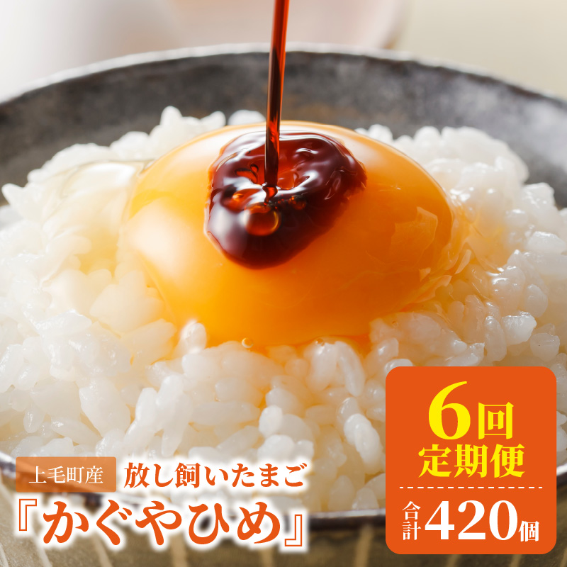 【定期便】放し飼い「かぐやひめ」70個　6回（毎月）コース 06T-004