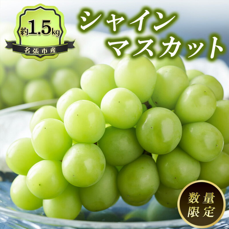 【ふるさと納税】数量限定！　三重県名張産シャインマスカット　フルーツ　果物　シャインマスカット　大房　お届け：2026年8月上旬から下旬