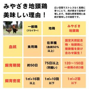 【宮崎県 諸塚村】みやざき地頭鶏1羽をまるごと堪能セット【配送不可地域：離島】【1480505】