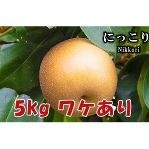 【5kg】栃木県小山市産B級品　にっこり　梨【1617304】