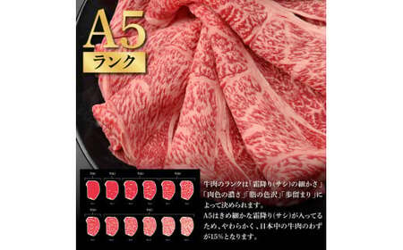 土佐和牛最高級A5特選クラシタロース＆特選ももセット900g 各450g