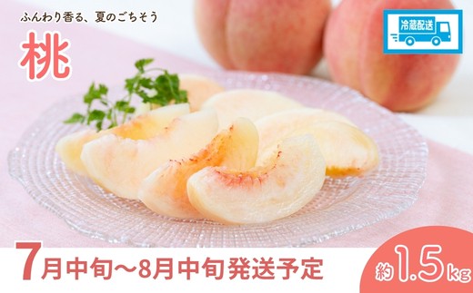 アグリード 福島のフルーツ2回定期便（桃・梨）【2027年発送】No.3402