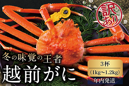 【年内発送】越前がに（オス）「ずわいがに」特大サイズ（1.0-1.2kg） 訳あり 3杯