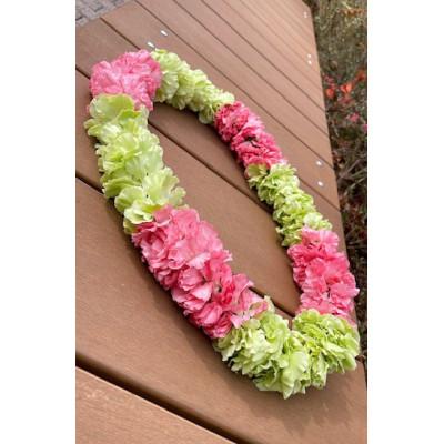 ふるさと納税 ふじみ野市 ハワイアンレイ生花　スプレーカーネーション(2色:Kuiスタイル)