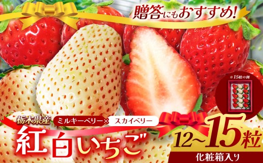 【先行予約】栃木県産 スカイベリー ミルキーベリー | 12～15粒 化粧箱入 紅白 贈答 プレゼント 人気 栃木県 下野市 送料無料