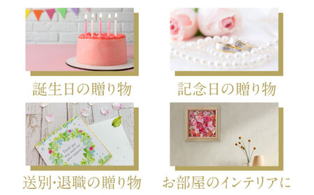 プリザーブドフラワーアレンジメント Sunshine 花 ギフト ドライフラワー インテリア アレンジ フラワー 【株式会社日比谷花壇】 [AKBO014]