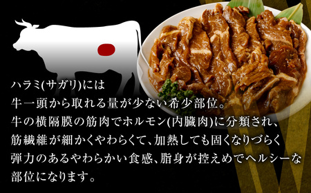 やわらか 牛ハラミ（サガリ）肉 極旨秘伝醤油タレ漬け 合計2.1kg（300g×7袋）【訳あり】ハラミ 牛肉 AS-578