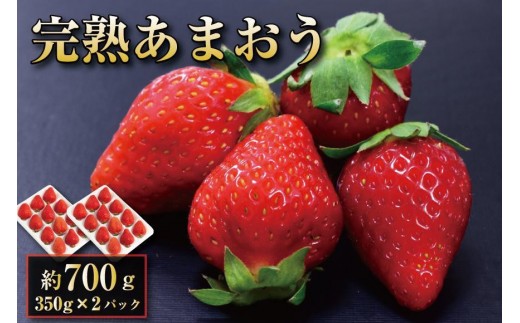 
                  【2027年1月～2月出荷予定】完熟 あまおう イチゴ 350g×2パック(約700g)＜配送不可：北海道、沖縄県、離島＞
                