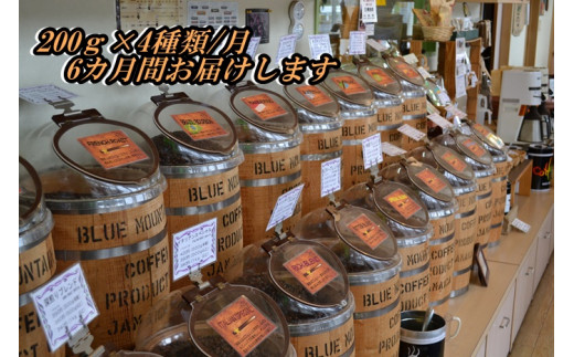 397 スペシャリティコーヒー定期便 挽き 6か月間