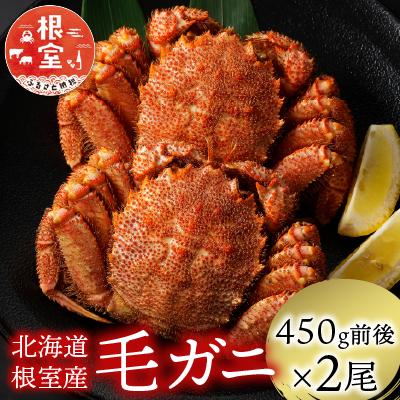 ふるさと納税 根室市 【北海道根室産】毛がに450g前後×2尾 C-21003