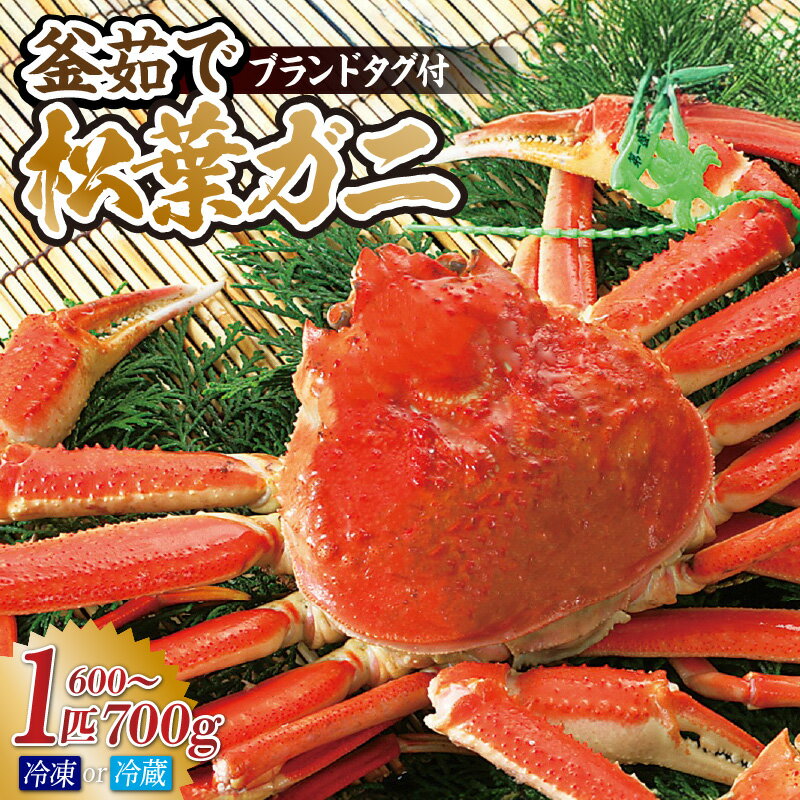 【ふるさと納税】当日に茹でたてを発送 釜茹で 松葉ガニ 1匹(約600～700g) 【選べるお届け状態！（冷蔵・冷凍）】カニ 蟹 産地証明のタグ付き 松葉蟹 かに ボイル 姿 茹で 蟹しゃぶ 鍋 お歳暮 兵庫県 香住産 香美町 タグ付き 宿院商店 令和7年11月中旬以降順次発送 送料無料
