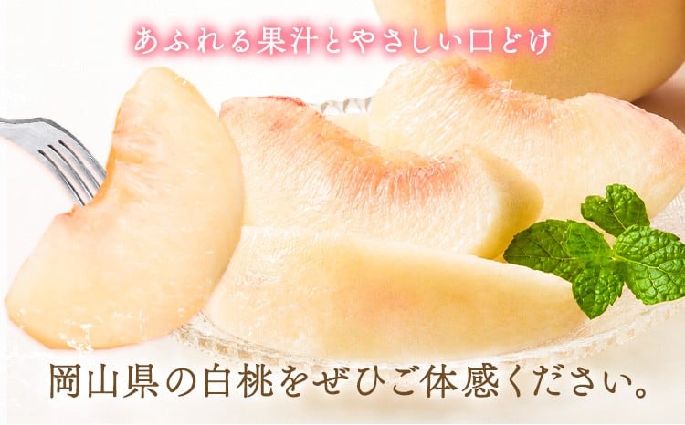 岡山の桃 約750g 《最短翌日発送！1-5営業日以内に出荷（土日祝除く）》 フルーツ 果物 岡山 矢掛町 ---yakage_loc_22_h---