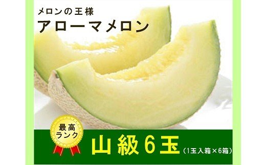 【ふるさと納税】 最高級 温室 アローマメロン 山級 6玉 甘い ギフト贈答に ジューシー メロン 高級 アローマ 温室 果汁たっぷり 甘い 温室メロン 箱入り 贈答 ギフト 内祝い 果物 フルーツ 母の日 父の日 お中元 お歳暮
