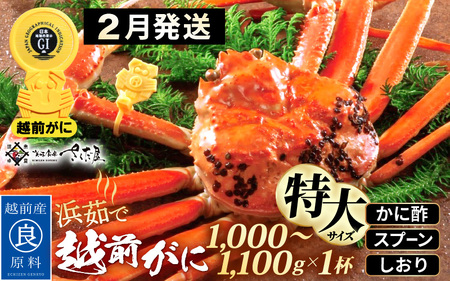 越前がに本場の越前町からお届け！浜茹で 越前がに 特大サイズ（生で1000～1100g） × 1杯 かに酢 食べ方しおり スプーン付き【かに カニ 蟹 雄 ズワイガニ ずわいがに 姿 ボイル 福井県 冷蔵】【2月発送分】希望日指定可 備考欄に希望日をご記入ください [e04-x031_02]